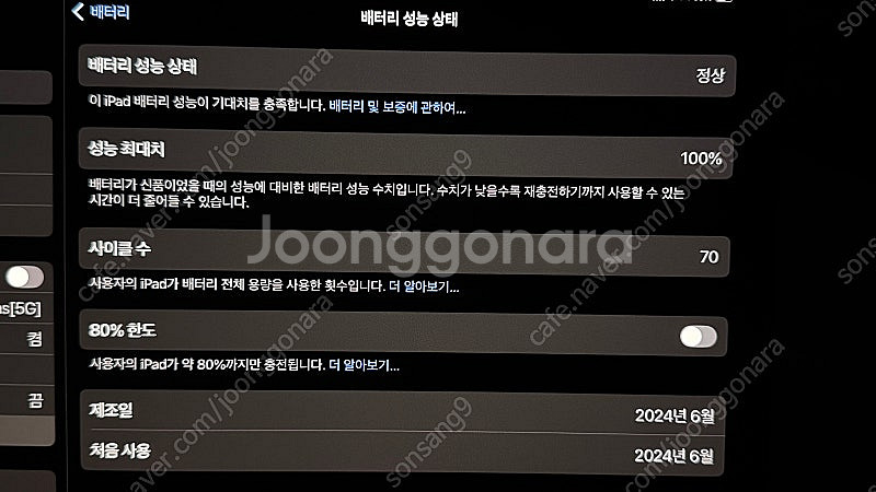 아이패드13프로256셀룰러 일반글라스 보증연장--5