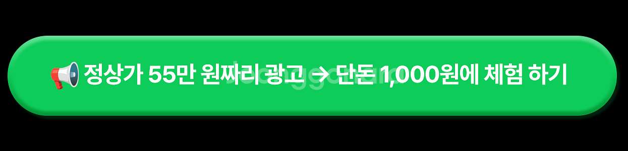입문용카메라, 펫캠, CCTV추천, 주연CCTV, 니콘...--2