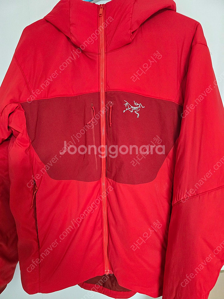 아크테릭스 프로톤 AR (M)후디--1