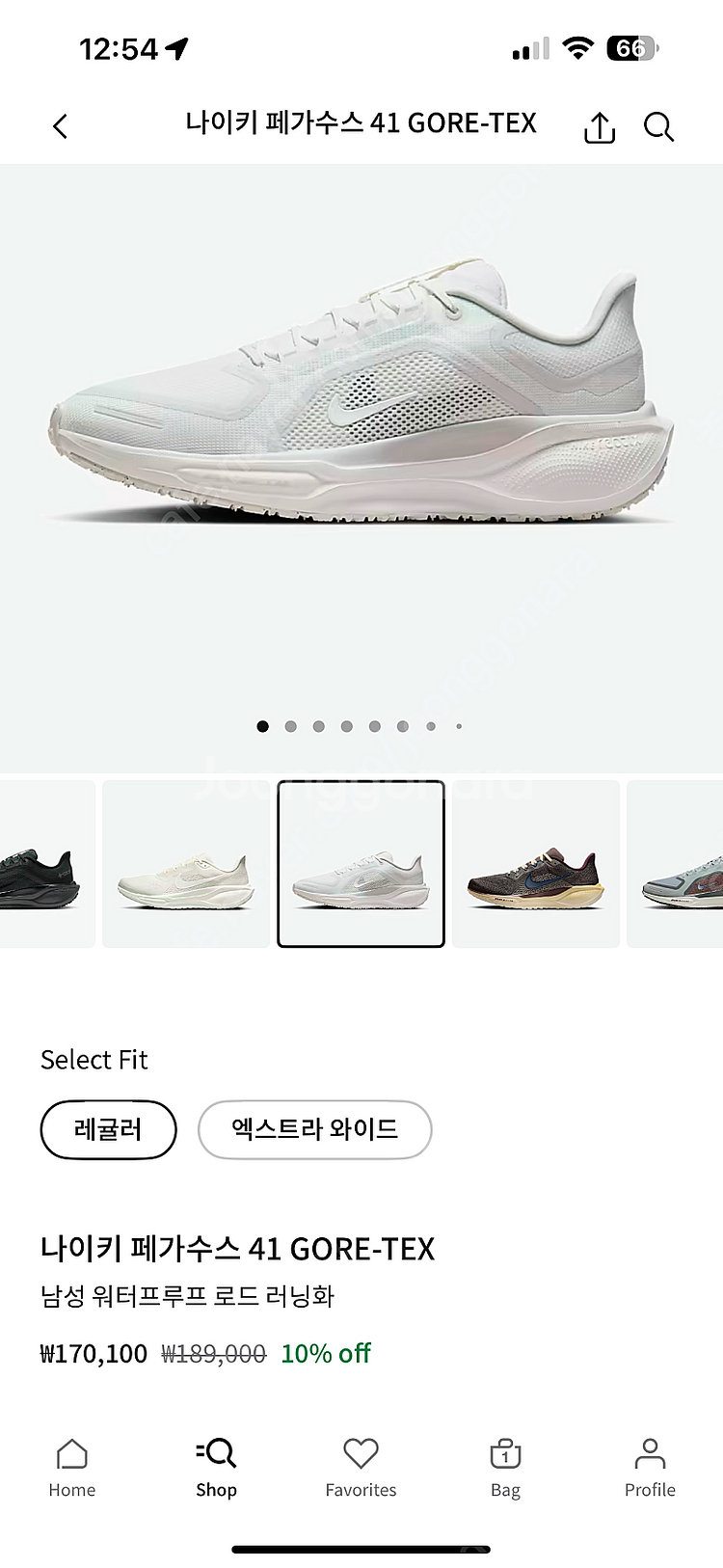 [295] 나이키 페가수스41 고어텍스--2