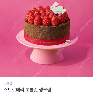 투썸 케이크 스트로베리초콜릿생크림 싸게 판매