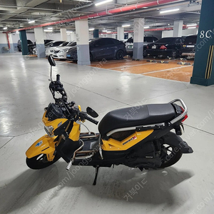 줌머 X 110cc