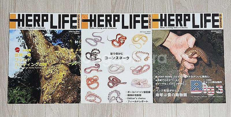 Herplife 허프라이프 일본 파충류 잡지--0