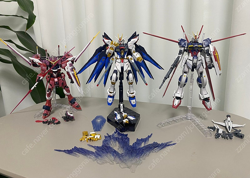 (택포)RG/HG 건담 시드 가조 3종 일괄--0