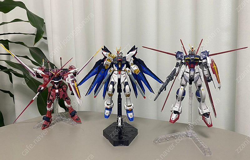 (택포)RG/HG 건담 시드 가조 3종 일괄--1