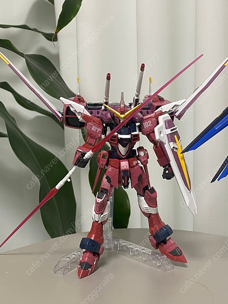 (택포)RG/HG 건담 시드 가조 3종 일괄--3