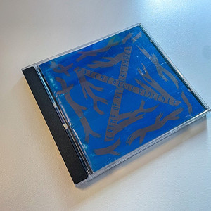 X JAPAN 엑스재팬 BLUE BLOOD 정품 중고 CD