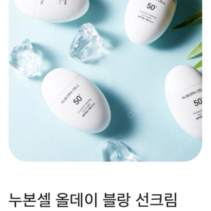 화장품: 크림, 앰플 (블랑두부/뉴본셀, 아렌시아,