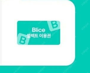 블라이스 셀렉트 3개월 무료 이용권 웹툰 웹소설 무제한...--0