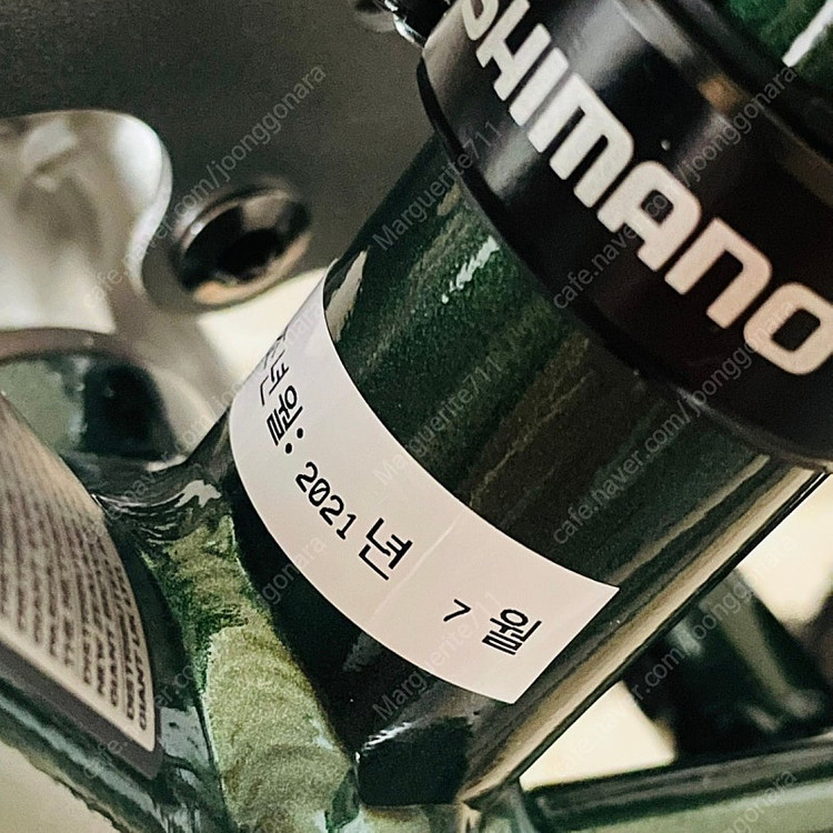 자이언트 리브 에스케이프 디스크 포레스트 그린 xs 이미지