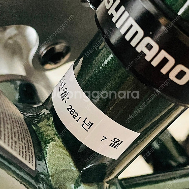 자이언트 리브 에스케이프 디스크 포레스트 그린 xs--3