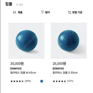 임산부 짐볼 필라테스 짐볼 65cm 세트