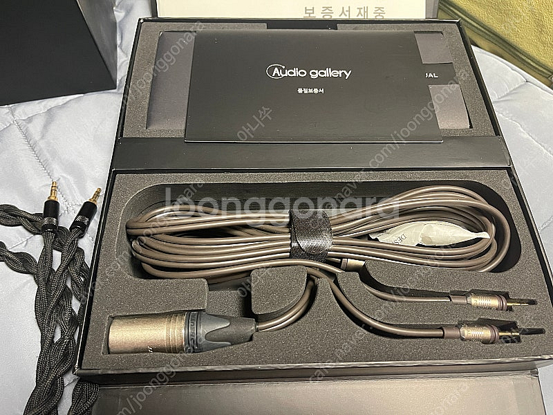 포칼 클리어 FOCAL CLEAR MG + 커스텀 케이...--2