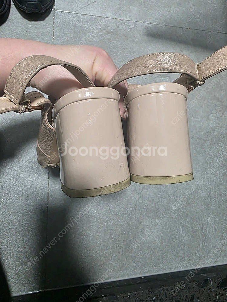 엘칸토 구두 250사이즈--3