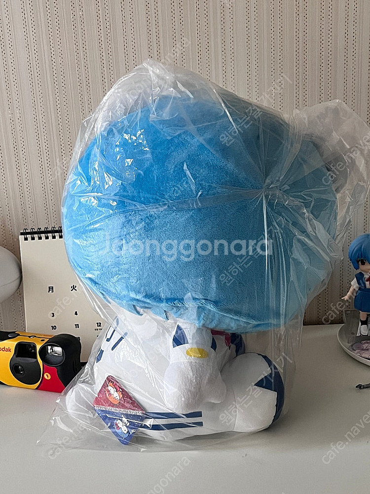 정품 에반게리온 산리오 콜라보 키티 레이--1