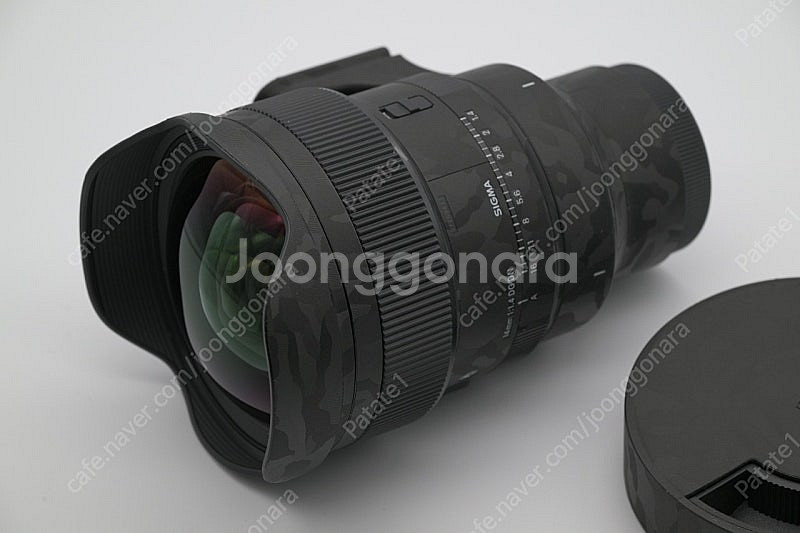 시그마 14mm F1.4 DG DN (소니 E)--8