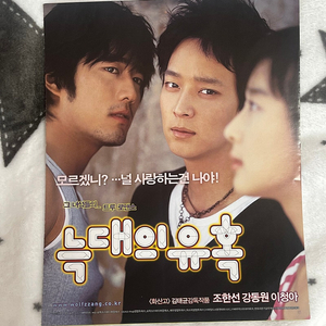 늑대의유혹 3단 팜플렛 2004 강동원 조한선 이청아