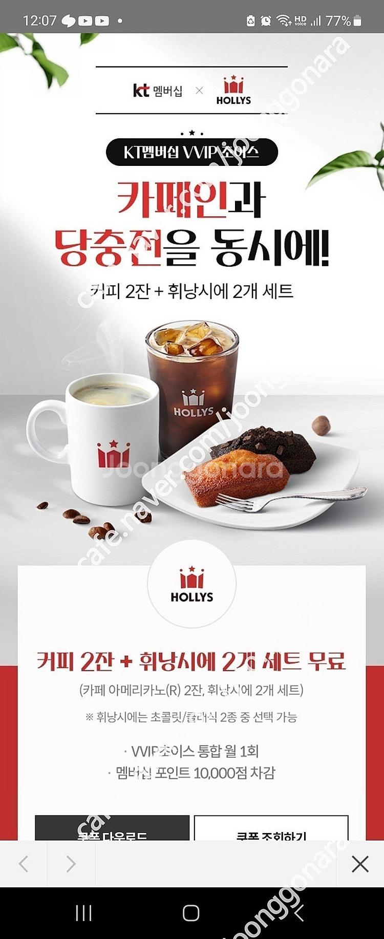 할리스 커피 카페 아메리카노2+휘낭시에2 세트 쿠폰 판...--0