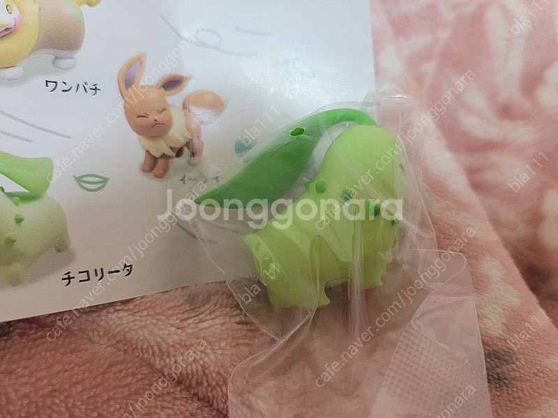 포켓몬스터 바람에도 지지않고 치코리타 가챠 캡슐토이 포...--2