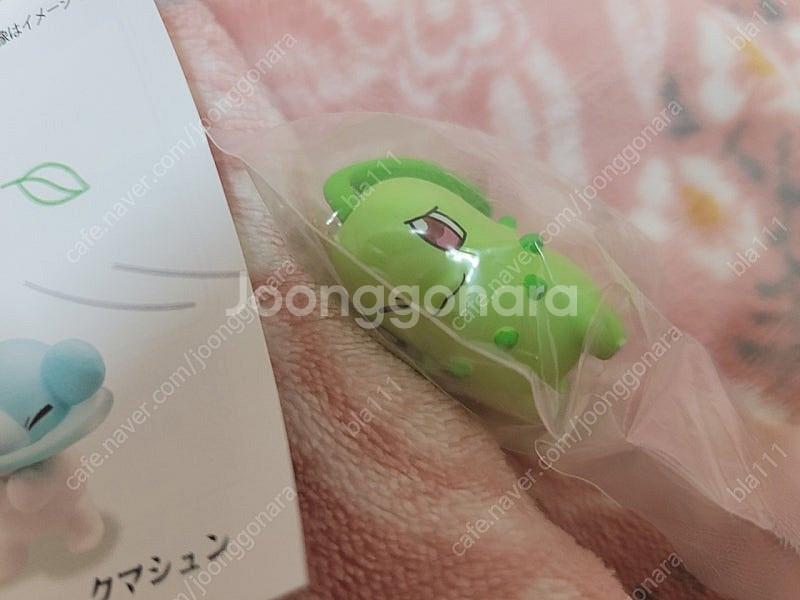 포켓몬스터 바람에도 지지않고 치코리타 가챠 캡슐토이 포...--3