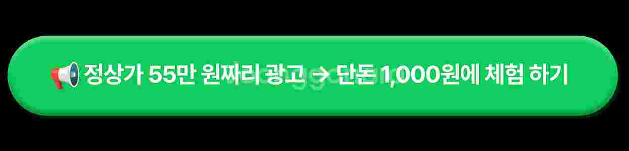 입문용카메라, 펫캠, CCTV추천, 주연CCTV, 니콘...--2