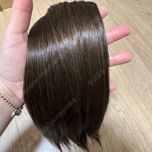 붙임머리 (16인치,숱추가5회)