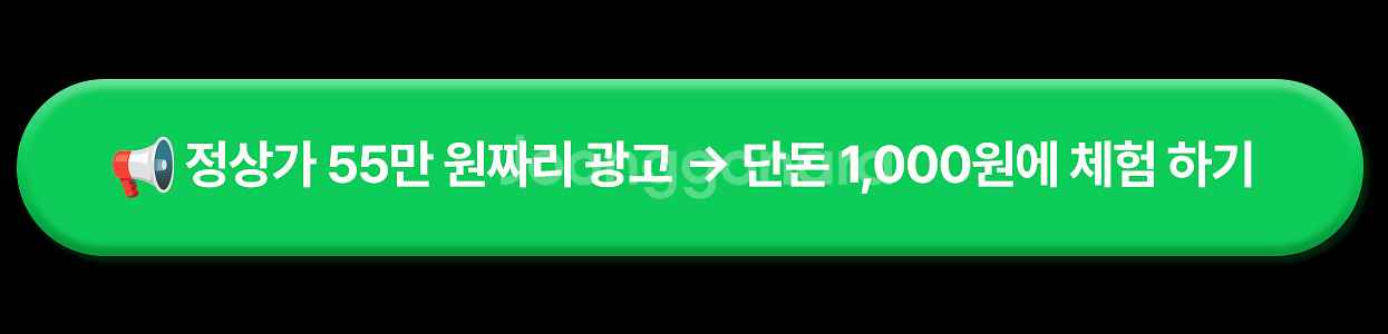 입문용카메라, 펫캠, CCTV추천, 주연CCTV, 니콘...--2