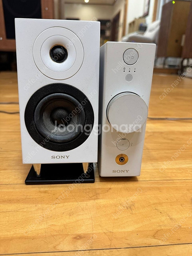 SONY CAS-1 스피커--1