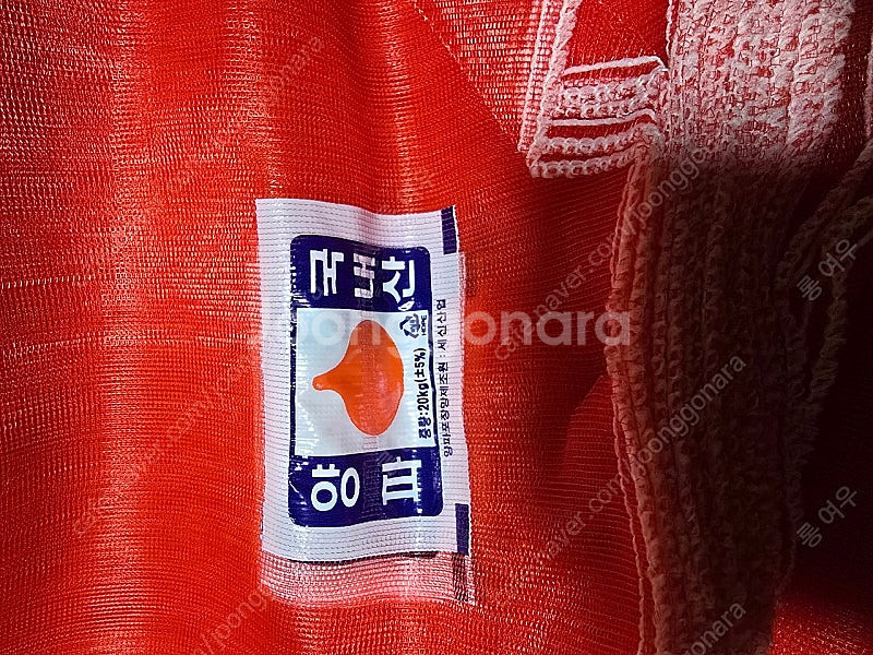 양파망--1