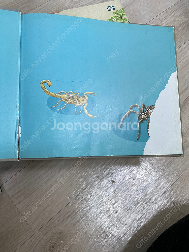탄탄테마동화, 꼬꼬마과학자 전집--6