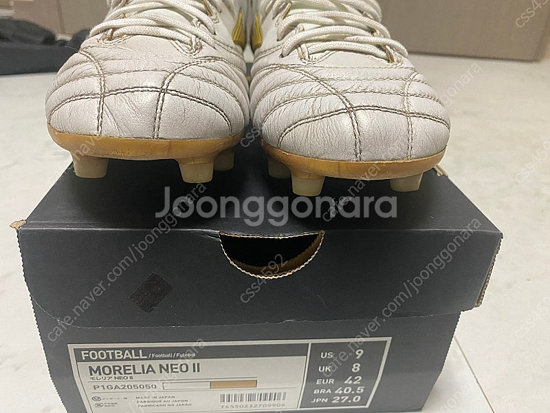 모렐리아 네오 2 Japan 270--2