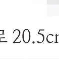 새상품) 구찌 오디피아 GG 스몰