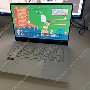 Asus 제피러스 G15 GA503R
