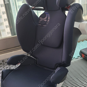 cybex gold_solution M-FIX 주니어 카시트