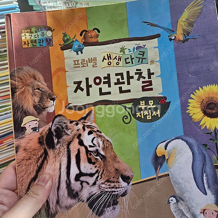 프뢰벨 생생다큐자연관찰책 50권--1