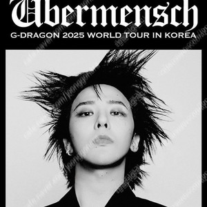 지드래곤 콘서트 첫콘 VIP석 티켓 양도합니다 [권지용 GD]