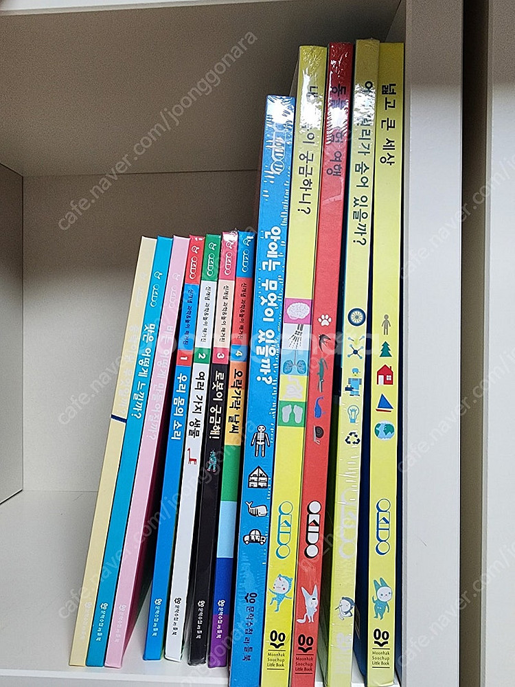ebs 오키도12권 택포10000--0