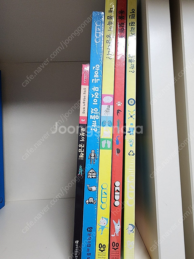 ebs 오키도12권 택포10000--1