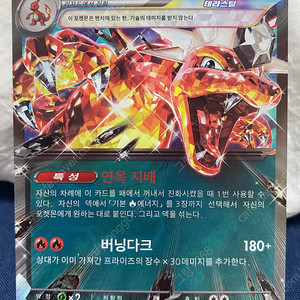 포켓몬 카드 리자몽 EX SR [S급] 테라스탈 슈퍼레어 흑염의 지배자 sv3 세트 팔아요