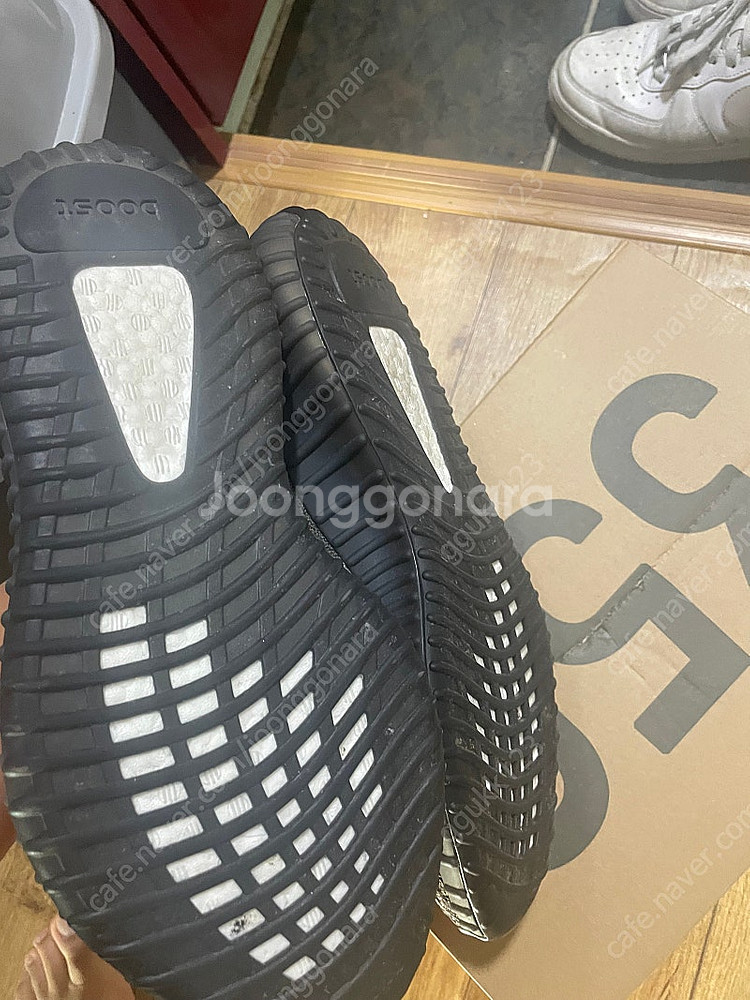 이지부스트 350 벨루가 v2카본 275--2