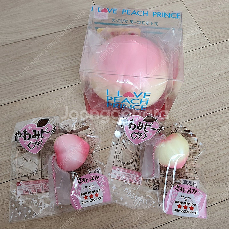 아이블룸 스퀴시 피치 일괄--0