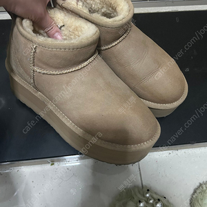 어그 플랫폼 240