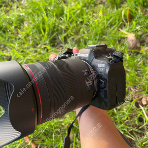 [기변]캐논 R6 Mark2, RF 50mm, RF 24-105mm, EF 40mm..
