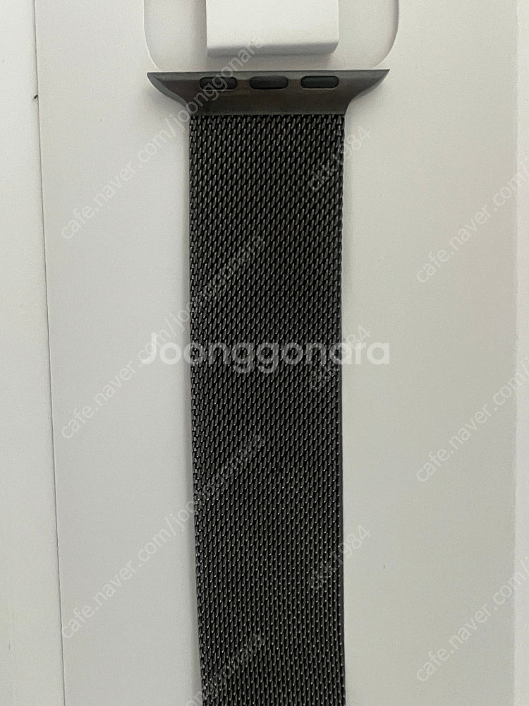 밀레니즈 루프 44mm--1