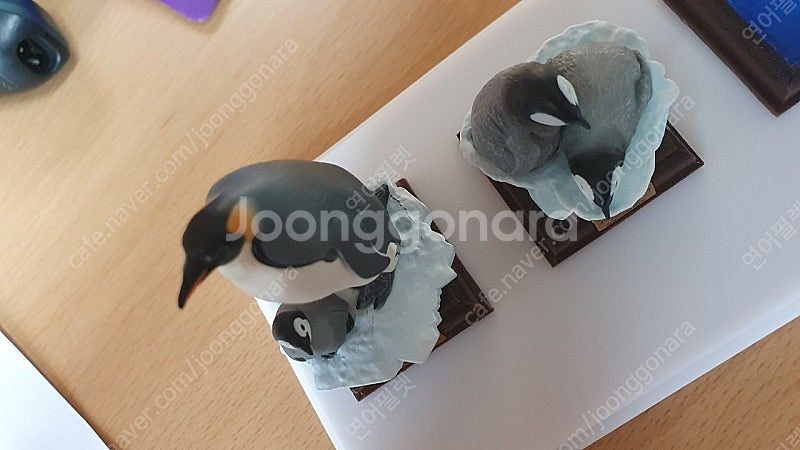 네이처테크니 남극 가챠 8종 전종 세트--1