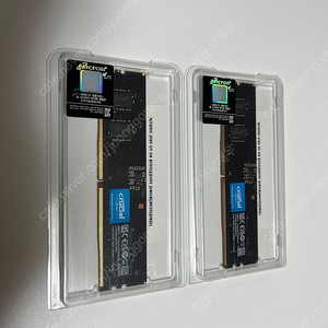 Crucial DDR5-5600 8GB x2 (총 16GB)