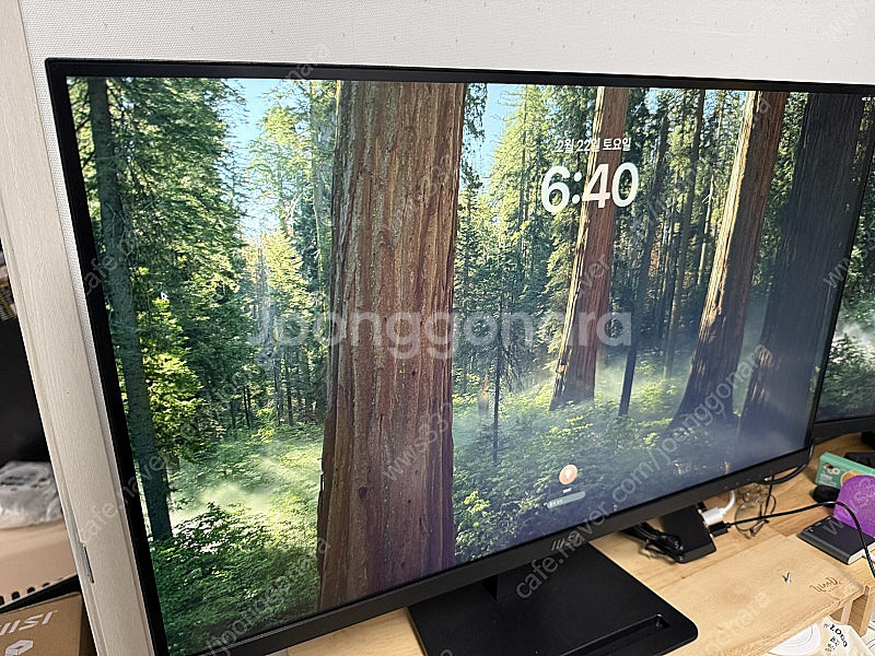 MSI MP273U 4K 27인치 모니터--0