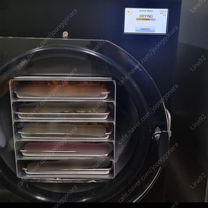 하베스트 동결건조기 라지 팝니다