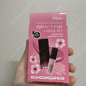 딘토 블러글로이 립 틴트 플로렌티아 233호 치크 기획세트