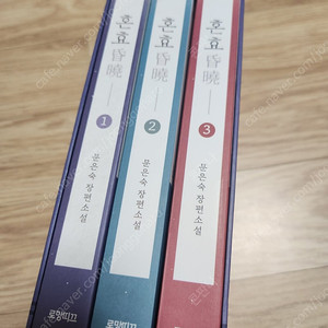 혼효 (문은숙)